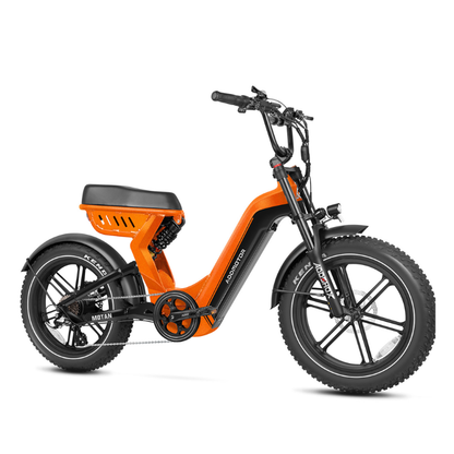 Motan M-650X All-Terrain Electric Bike